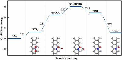 Achieving Selective and Efficient Electrocatalytic Activity for CO2 Reduction on N-Doped Graphene